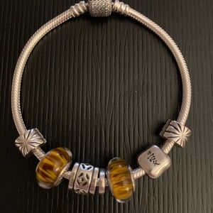 💕Pandora Retired Murano, 2 clips, Chinese, 1 filler and one other design 7.5in